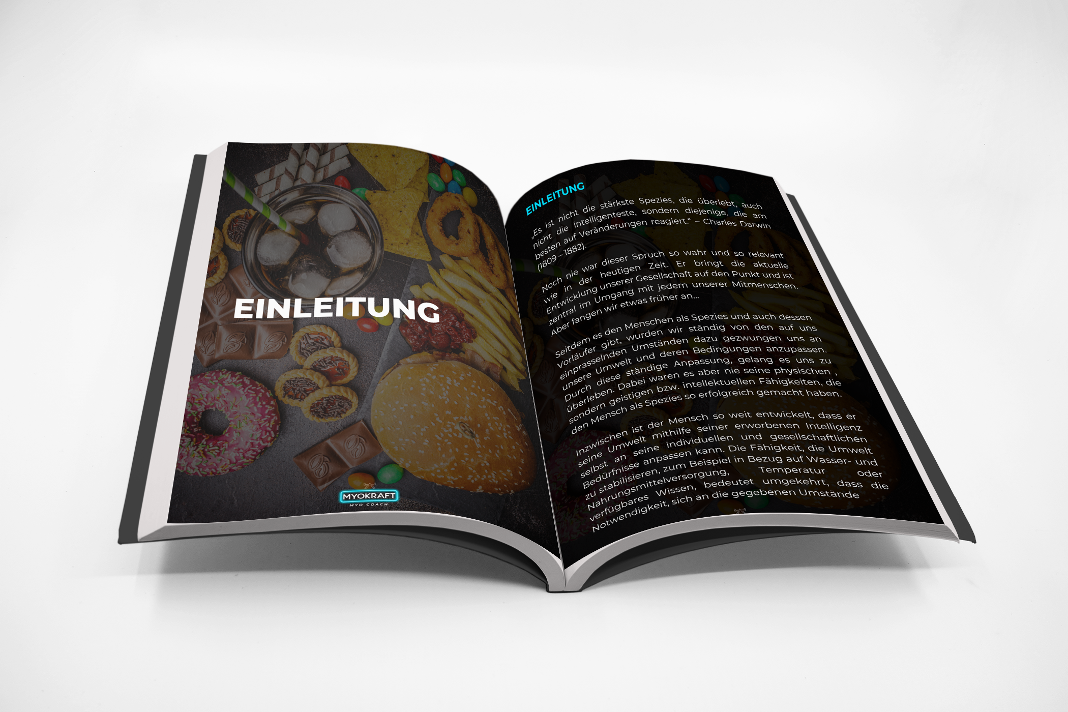 Einleitung Mock up